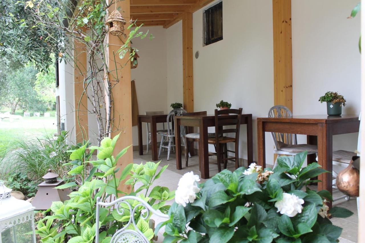 Le Casette Sul Garda Bed & Breakfast *